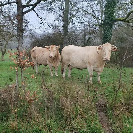 Апартаменты La Bergerie Larressingle