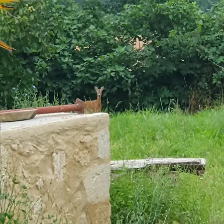 Апартаменты La Bergerie *