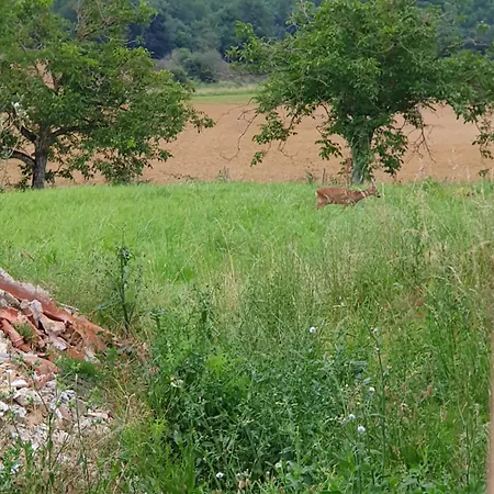 La Bergerie * Larressingle