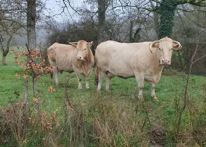 Lejlighed La Bergerie Larressingle